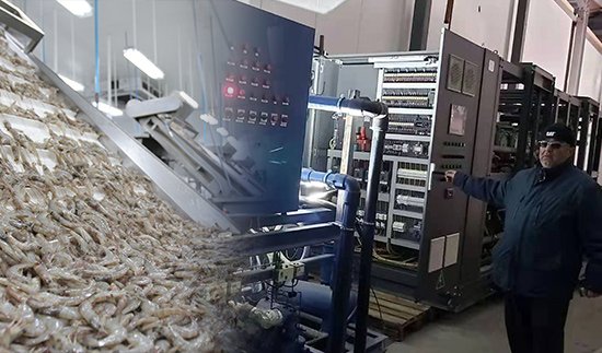 Транскритический проект подразделения CO2, Болгария