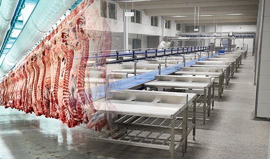 Zhaoyuan Животноводство с открытым исходным кодом Co., Ltd.