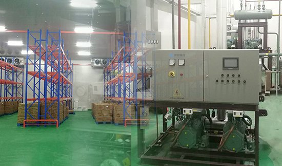 Проект Центра универмага Денниса