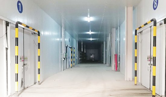 Джинван сельскохозяйственная продукция оптом рынок