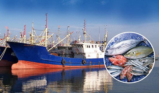 Проект рыбацкой лодки, Франция